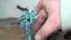 INFINITY THE GAME, Pan Oceania Dragoes, Worthy Painting