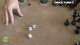 Content Preview