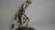 Colossal Skeleton (Reaper)