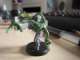 Tau Nurgle conversion idea
