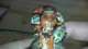 Emperors Champion of Orange Templars