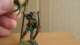 Wood Elf Battle Standard Bearer Warhammer Fantasy 