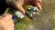 Army of Light - Constance and Gallant Painting Part 3