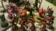 Blood Angels vs Chaos Daemons