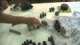 Tyranids vs Space Marines, 2000 points