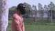Dave takes 10 Paintballs to the bare chest 