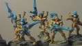 Eldar Guardians