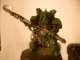 Typhus