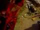 a vid from imperal soldier