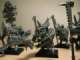 Converted Lizardmen Tomb Guards