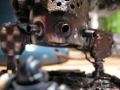 ORKTOBER killa kan contest entry