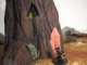 How to make an elven tree house!