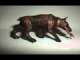 mutant zombie dog