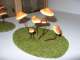 mushrooms