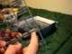 Unboxing Space Marine Land Raider Crusader/Redeemer