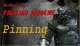 Painting Academy DVD 1 -  Pinning