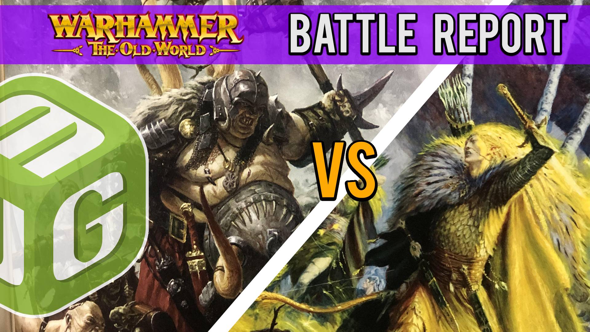 Ogre Kingdoms vs Wood Elves Warhammer The Old World Battle Report Ep 19