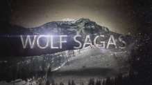 Space Wolf Elites Review - Wolf Sagas Ep03