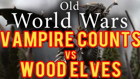 Vampire Counts vs Wood Elves Warhammer Fantasy Battle Report - Old World Wars Ep 261