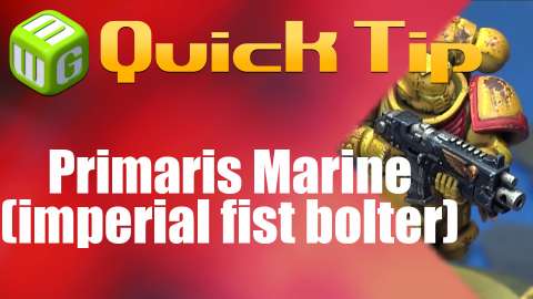 Quick Tip: Primaris Marine (imperial fist bolter)