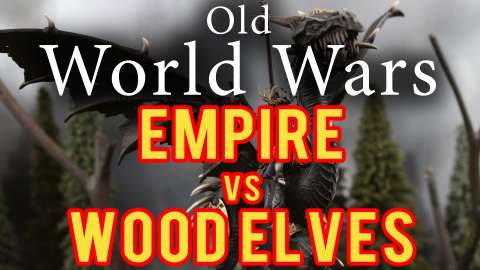 Empire vs Wood Elves - Warhammer Fantasy Battle Report Ep 265