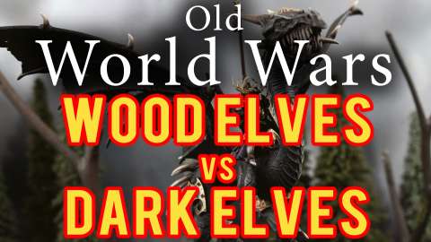 Wood Elves vs Dark Elves Warhammer Fantasy Battle Report - Old World Wars Ep 273